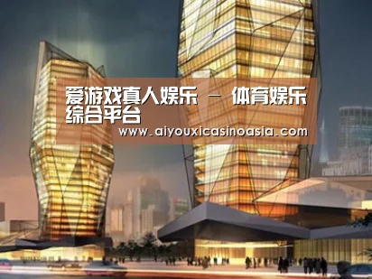案例展示三