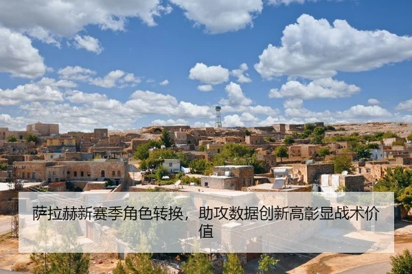 sa-la-he-xin-sai-ji-jue-se-zhuan-huan-zhu-gong-shu-ju-chuang-xin-gao-zhang-xian-zhan-shu-jia-zhi-2-308.jpg