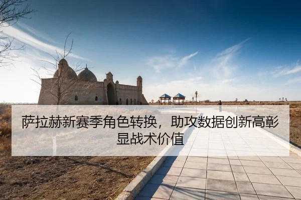 sa-la-he-xin-sai-ji-jue-se-zhuan-huan-zhu-gong-shu-ju-chuang-xin-gao-zhang-xian-zhan-shu-jia-zhi-3-122.jpg