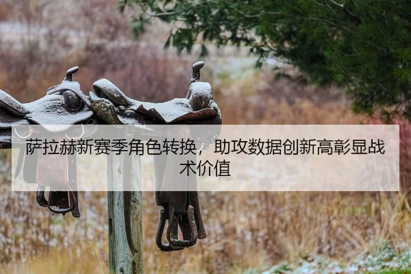 萨拉赫新赛季角色转换，助攻数据创新高彰显战术价值