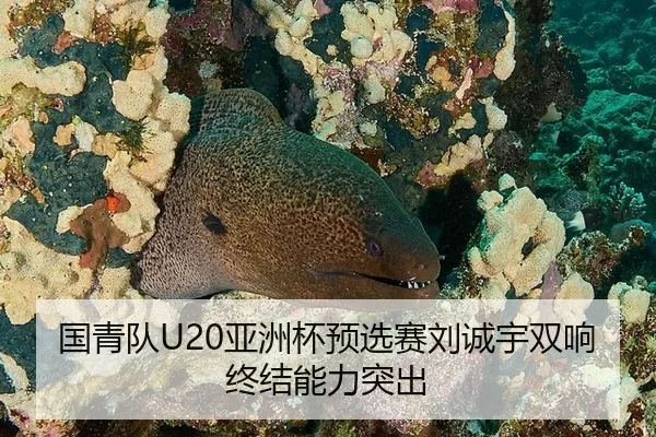 国青队U20亚洲杯预选赛刘诚宇双响终结能力突出