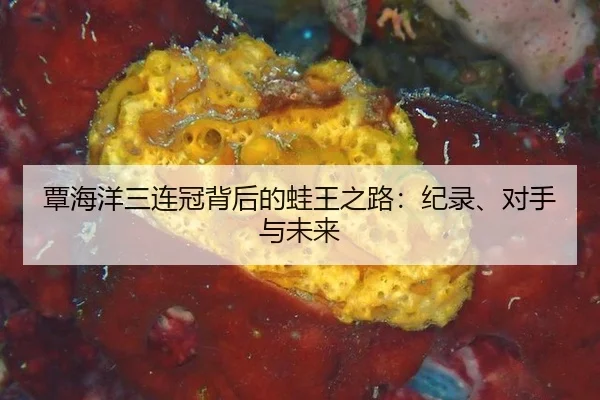 tan-hai-yang-san-lian-guan-bei-hou-de-wa-wang-zhi-lu-ji-lu-dui-shou-yu-wei-lai-3-925.jpg