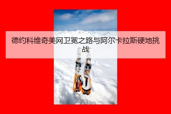 de-yue-ke-wei-qi-mei-wang-wei-mian-zhi-lu-yu-a-er-ka-la-si-ying-di-tiao-zhan-2-333.jpg