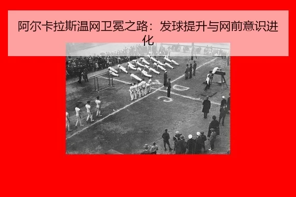 a-er-ka-la-si-wen-wang-wei-mian-zhi-lu-fa-qiu-ti-sheng-yu-wang-qian-yi-shi-jin-hua-3-422.jpg