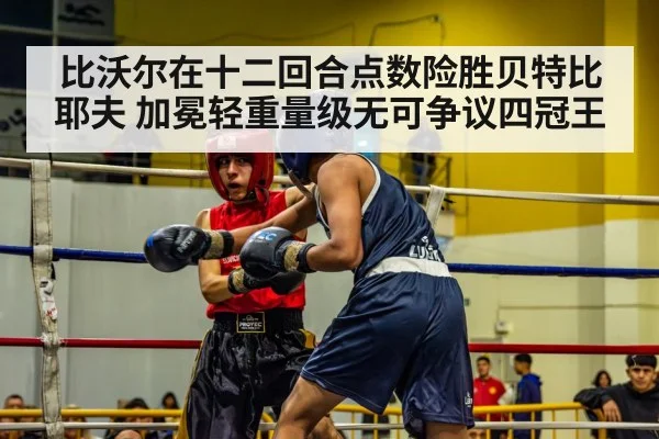 boxing match action